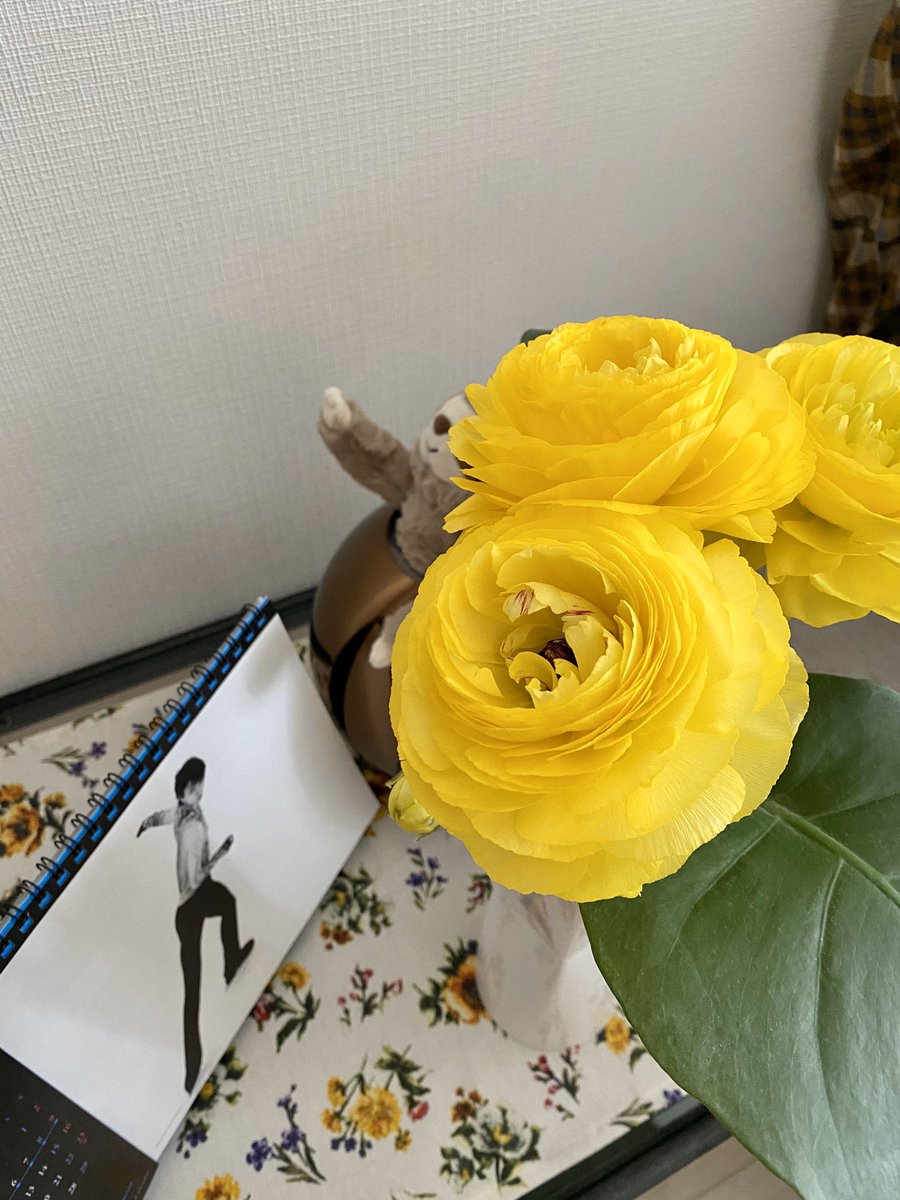 maruhhh2's tweet photo. 羽生さんが一番だと思う人〜　
はーい🙋‍♀️

ナマミはどこの角度でも存在感抜群🦥
友よ、プレゼントありがとう🎁

#羽生結弦 #YuzuruHanyu #ナマケモノ #sloath https://t.co/Pu9ipNQjek