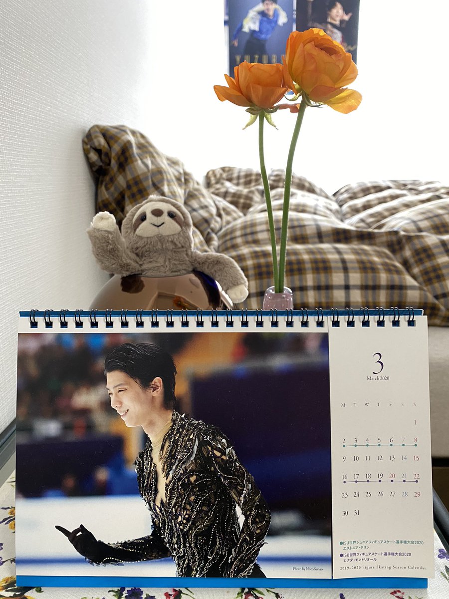 maruhhh2's tweet photo. 羽生さんが一番だと思う人〜　
はーい🙋‍♀️

ナマミはどこの角度でも存在感抜群🦥
友よ、プレゼントありがとう🎁

#羽生結弦 #YuzuruHanyu #ナマケモノ #sloath https://t.co/Pu9ipNQjek