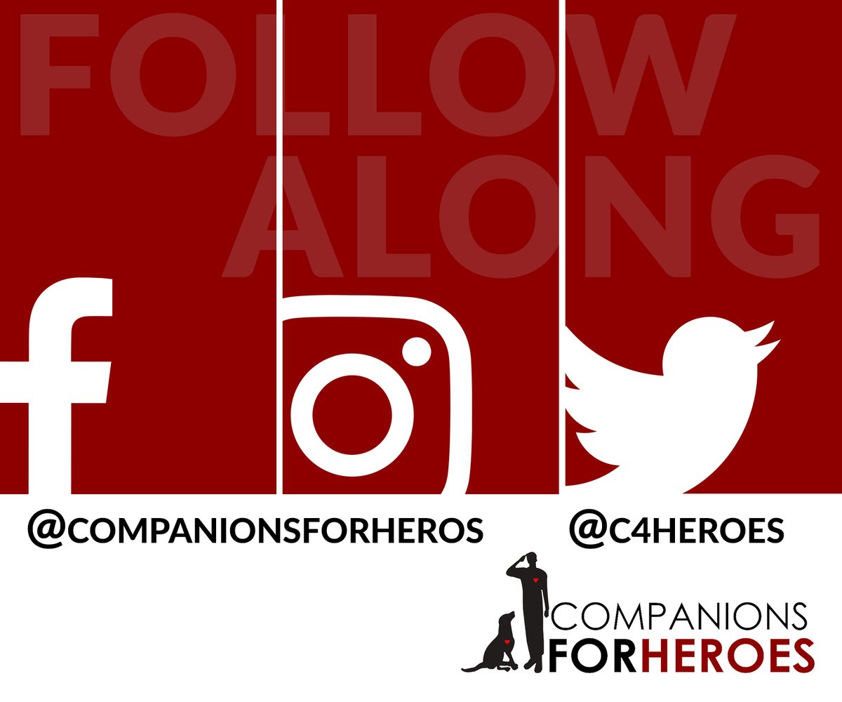 c4heroes's tweet photo. Follow  Companions For Heroes on all of our social media accounts to stay up to date with what is happening in our organization! 📱💻

#companionsforheroes #freeadog #saveavet #stsimonsisland #servicedog #veteran #god #military #serveothers #army #navy #airforce #marines https://t.co/nskdjlFqTY