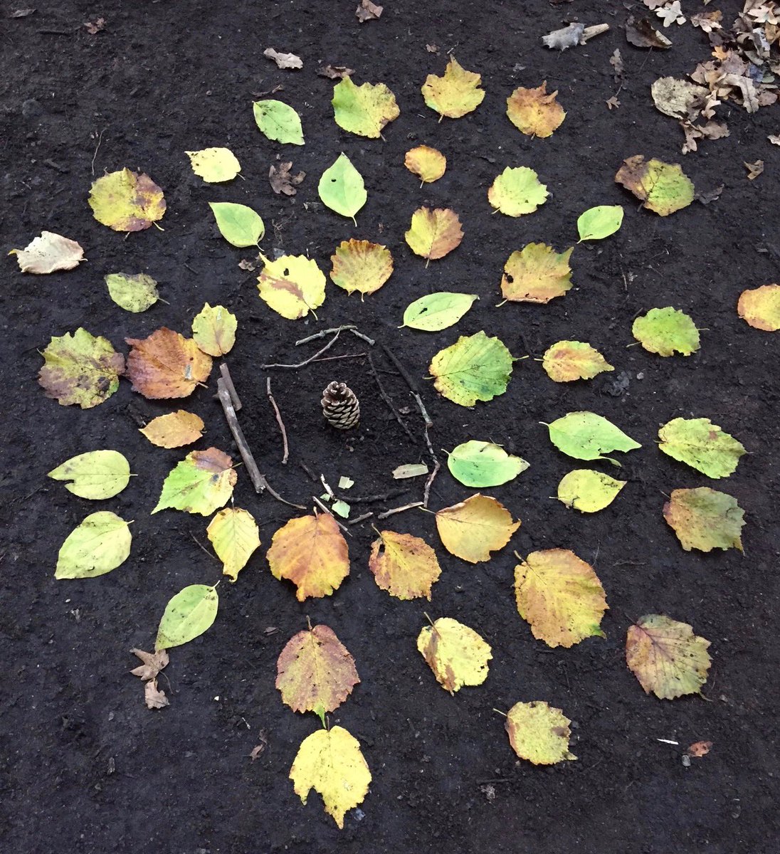 GorseyFS's tweet photo. Friday is Forest School day @GorseyBank How about getting out in the garden today to make a piece of wild art? We would love to see your creations #gorseyfs #gorseyfromhome https://t.co/A9PTZESVxr