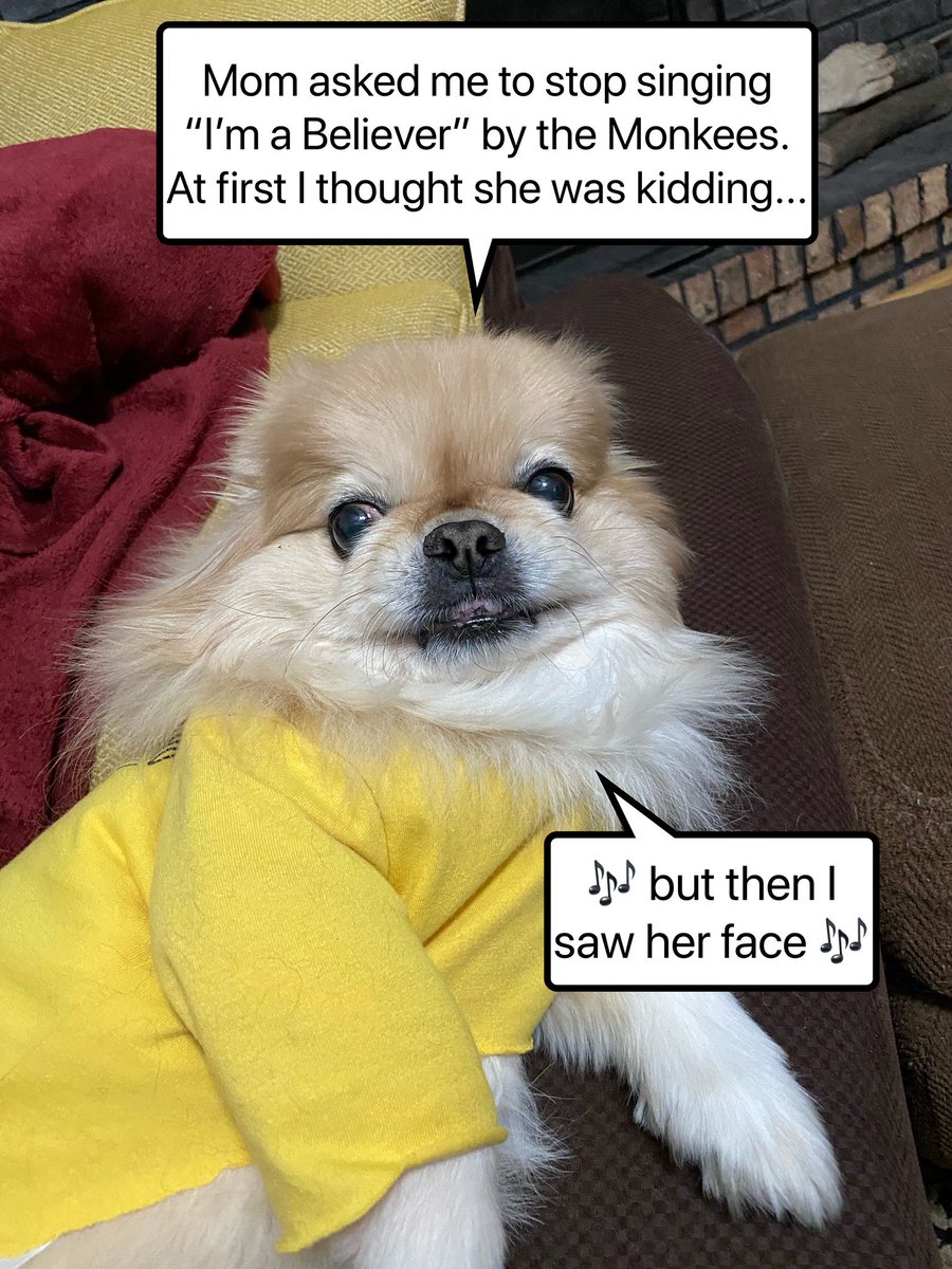 Dog Apology News Interview 🎤🐕 “Never meant to make your doggo cry” 😿  This just in! BARKING NEWS🐾, ▶️DropYourDrafts 2025 saved 2/28/25, I  remixed this sad talking/singing dog howling along to Outkast’s ..., image size:900x1200