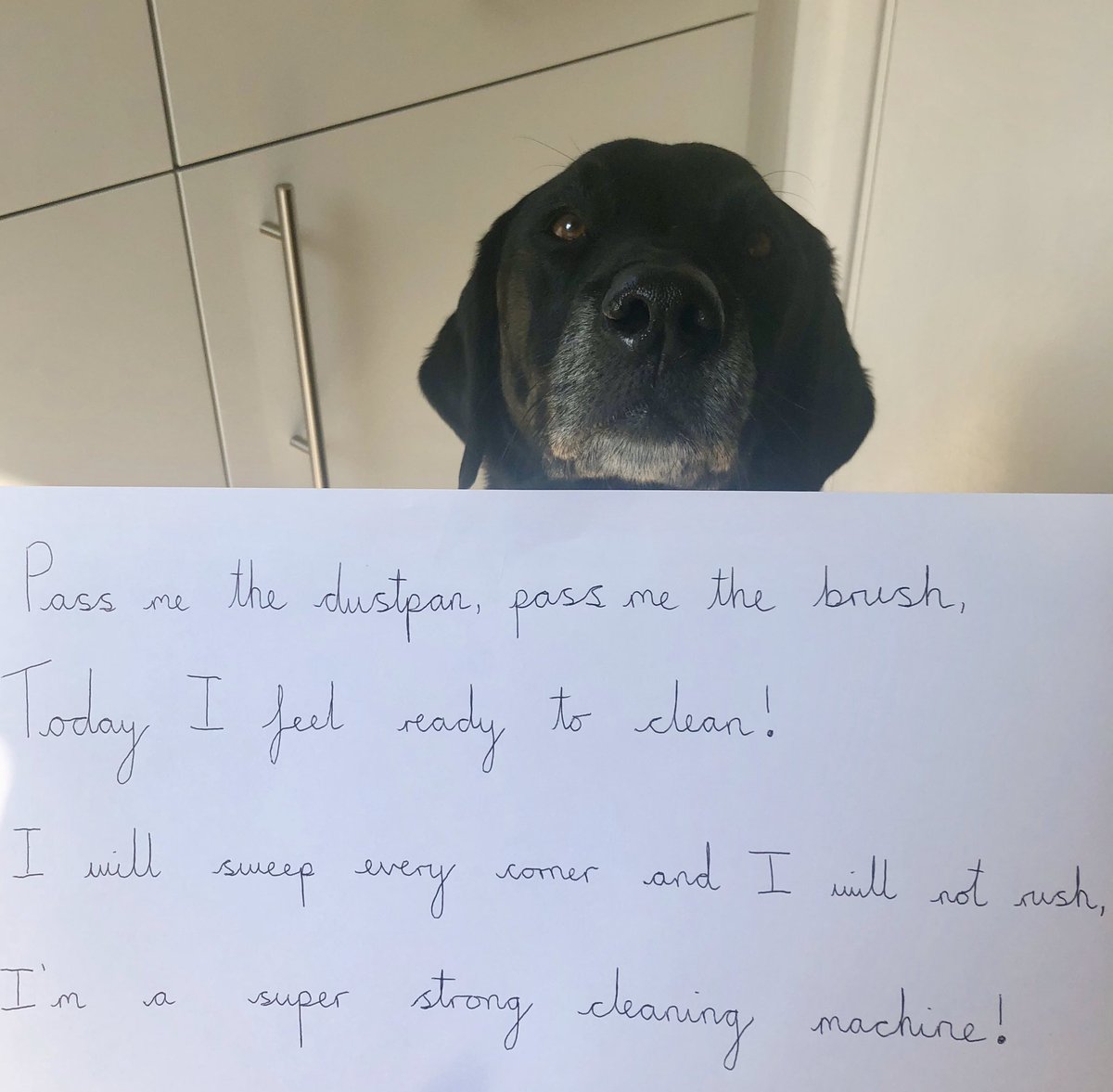 @HothamMissCopner (@hothammisscopn1) on Twitter photo I enjoyed writing this poem while I did my chores today! Can you write a second verse? <a href="/HothamMissThorp/">Miss Thorp</a> #hothamprimary I enjoyed writing this poem while I did my chores today! Can you write a second verse? <a href="/HothamMissThorp/">Miss Thorp</a> #hothamprimary