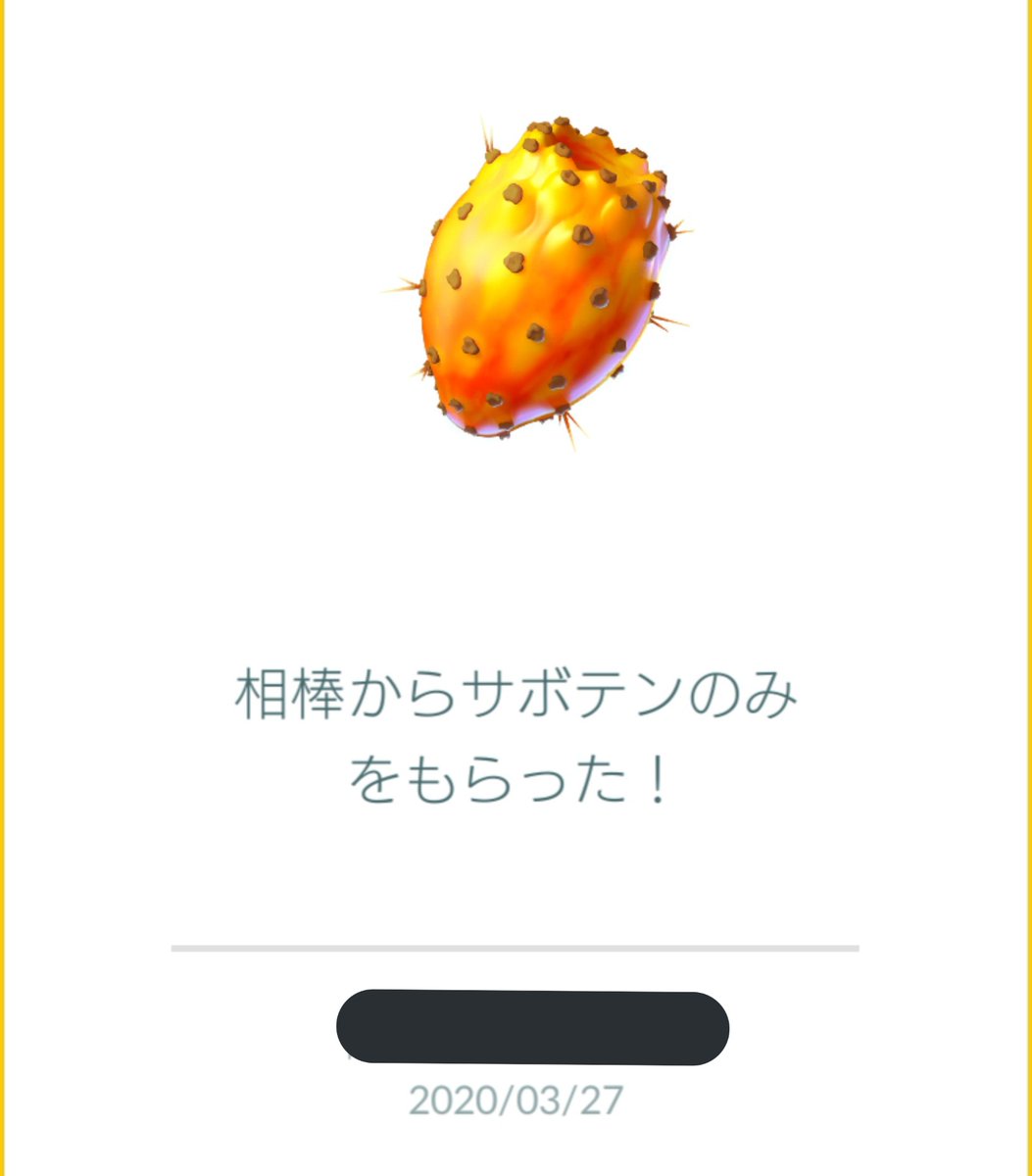 サボテンのみ