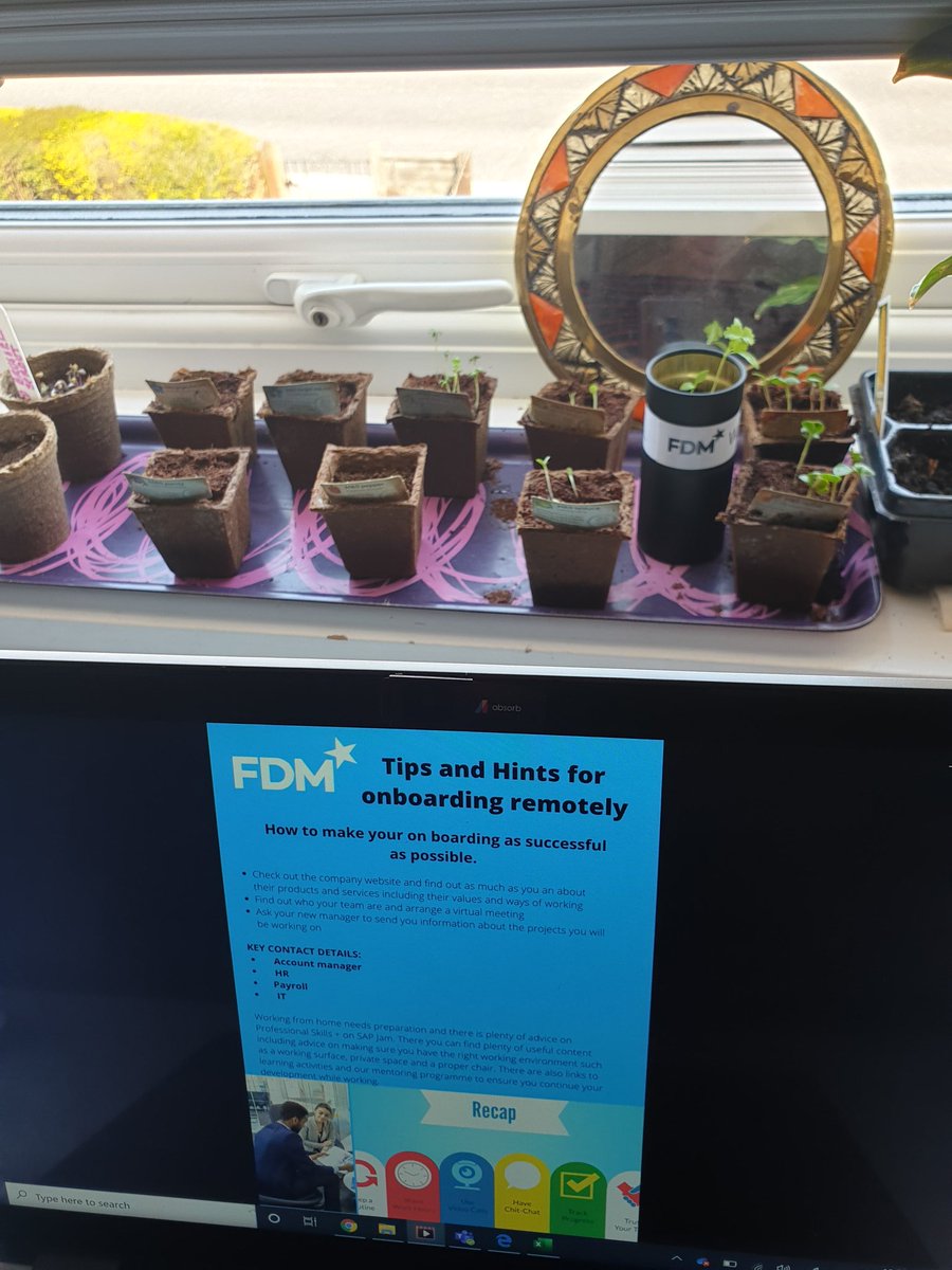 Waiting for the plants to grow #growyourown as I work on some remote tips #fdmcareers <a href="/FDMGroup/">FDM Group</a>. Patience is a virtue  #workingfromhome