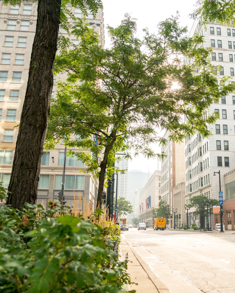 The310W's tweet photo. “There’s little doubt that Westown has turned the corner,” says Mark Niehaus, Milwaukee Symphony Orchestra’s president and executive director. Have you read @milwaukeemag's latest feature on Westown yet? Check it out here: https://t.co/YB8MO4XxsS https://t.co/PuS1pu8VZZ