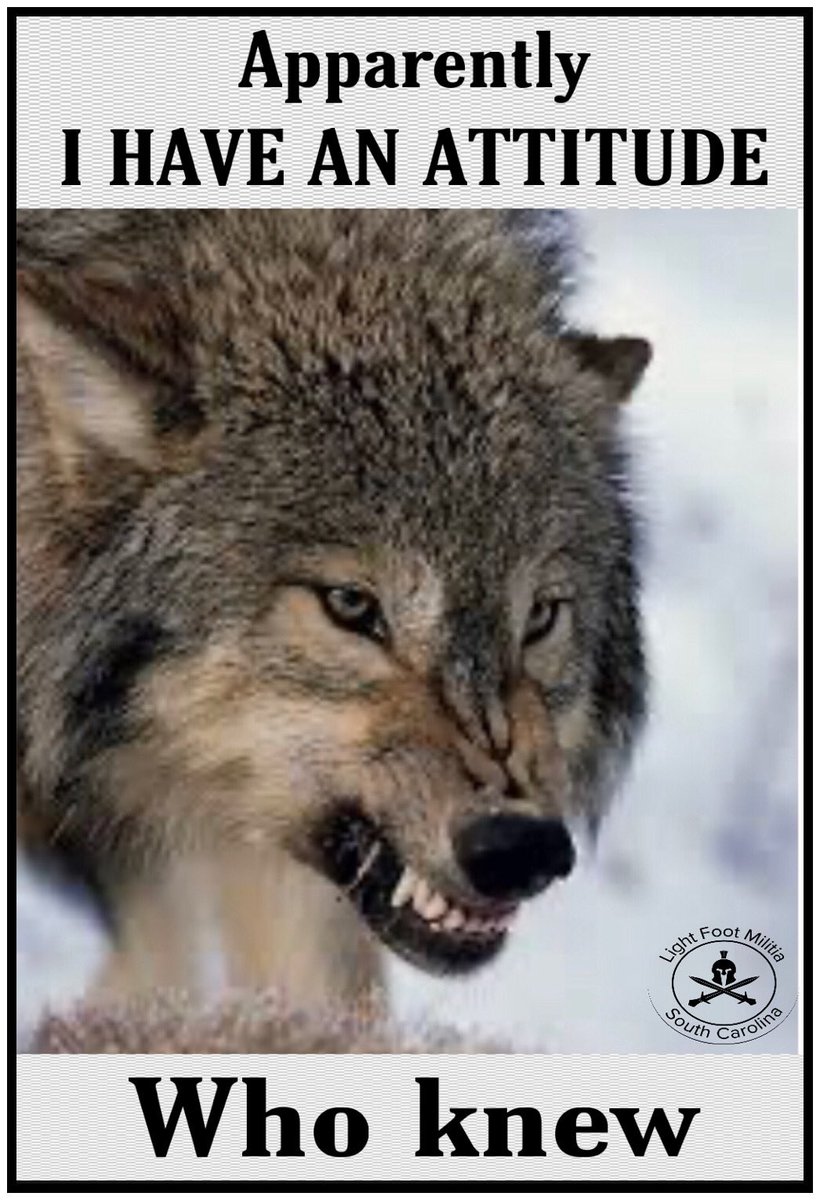 sc_ctr's tweet image. #SCLFM 😎