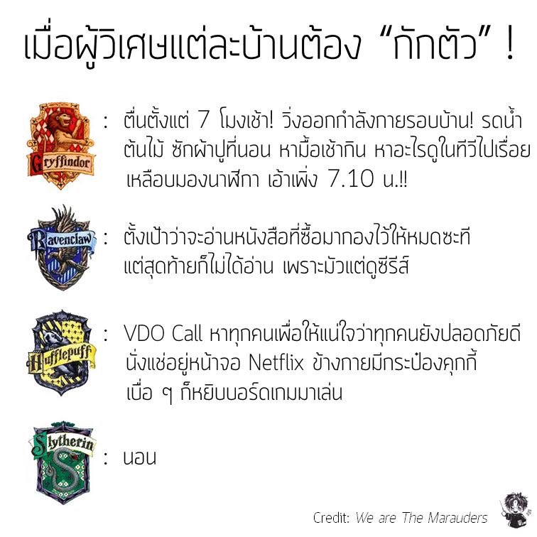 agirlwhodiesoon's tweet photo. 100% Slytherin #กักตัวอยู่ฮอกวอตส์ https://t.co/nrqlpRB8q8