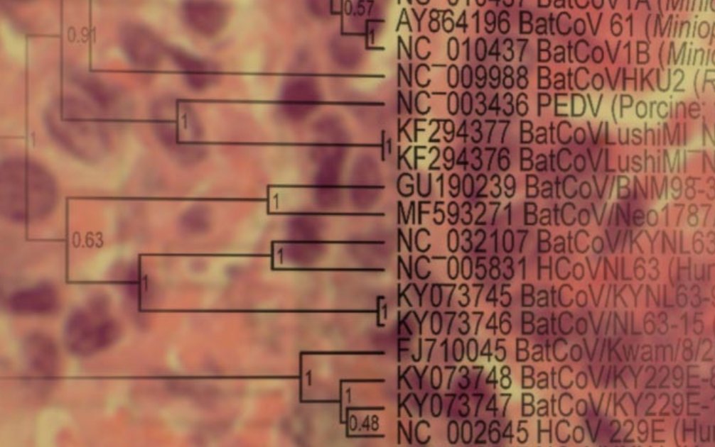 figshare's tweet photo. Respiratory disease and virus shedding in rhesus macaques inoculated with #SARS-CoV-2

#OpenData on NIH Figshare Instance: https://t.co/pczrisVSRa
#OpenAccess #Prerint https://t.co/zzdOBM0199

More info on how to share #NIHData https://t.co/uTzsT0rfzw

#COVID19 #Coronavirus https://t.co/FTsGx89TnV