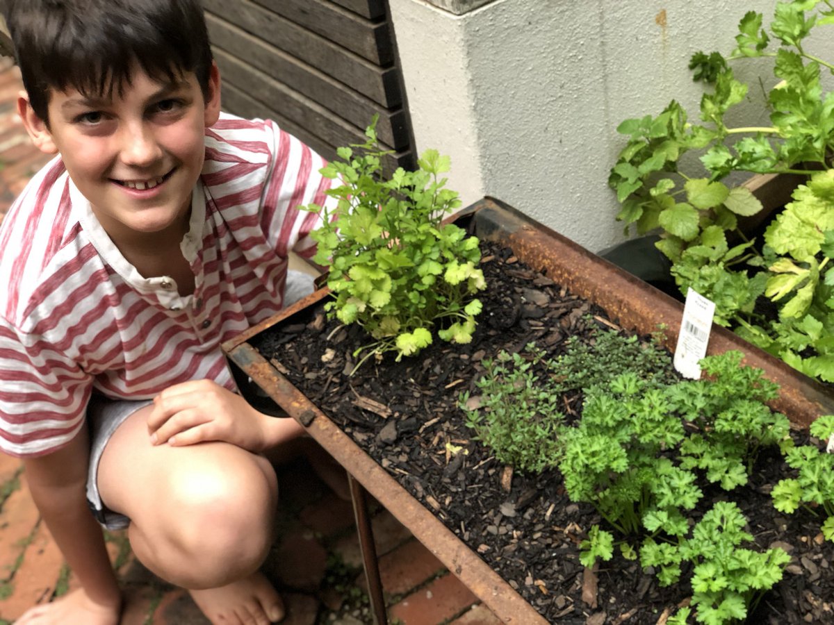 Turning a braai into a herb garden with my son as one of his lockdown creative projects. ⁦@NahanaGroup⁩ #NoLockdownOnCreativity