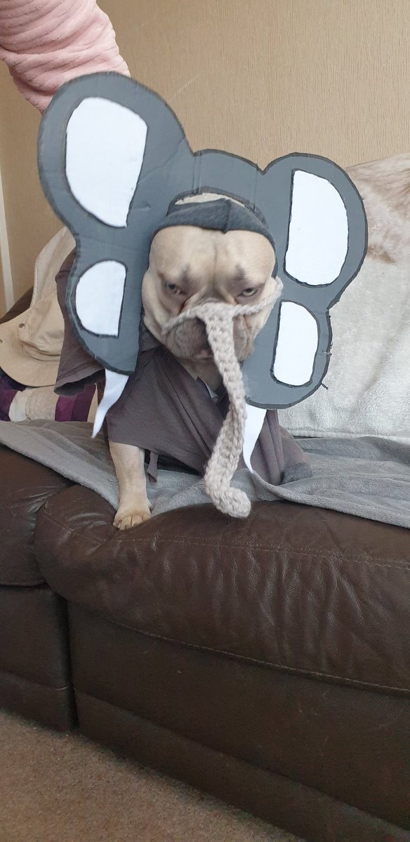 Nutritionmartin's tweet photo. @taskmaster all ready for task 3 
#dancingelephant https://t.co/iMJLFPdqkB