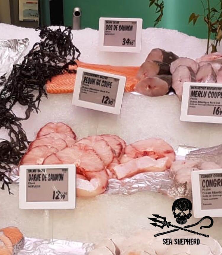 hugoclement's tweet photo. Déjà plusieurs fois épinglé pour avoir mis en vente des requins menacés, @intermarche récidive aujourd’hui dans son enseigne de Labarthe-sur-Lèze avec du requin-hâ, espèce classée vulnérable par l’UICN. La dernière fois, Intermarché parlait déjà « d’acte isolé ». @SeaShepherdFran https://t.co/SXfLISNgPu