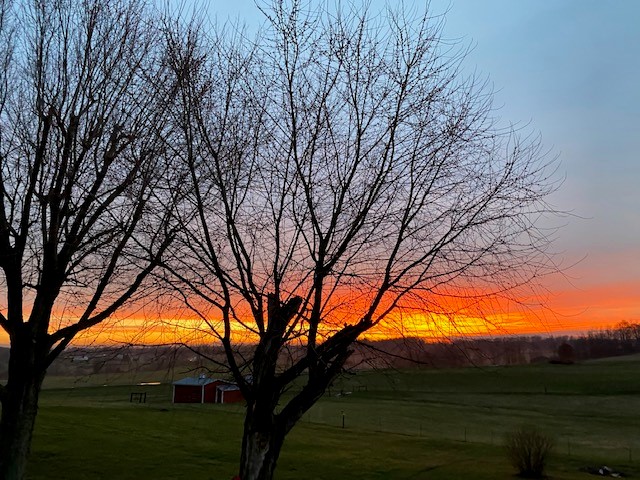 AngelaDelVecch6's tweet photo. Morning coffee and sunrise... my daily dose of serenity in this maddening world. Social Work therapy~

#OUMSW #SW5602 #BelmontOhio https://t.co/HcXIf8A1NM