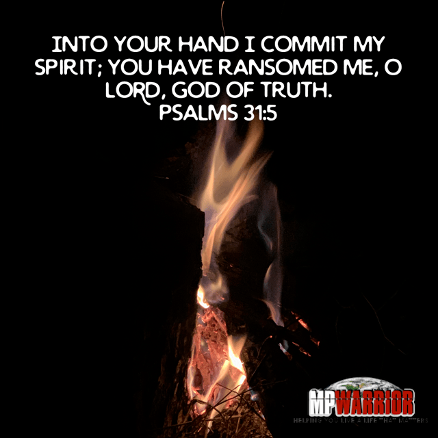 brianfriedl's tweet photo. Commit Your Spirit https://t.co/iqHGx3Rbuv https://t.co/U8w42h9D3R