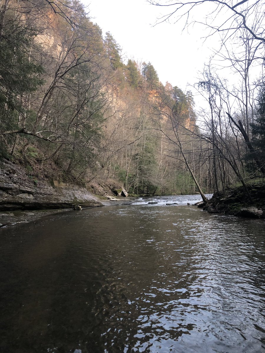 silverpointVOL's tweet photo. Not a bad view to end the work day yesterday. #creekin https://t.co/32rp7Vg0LB