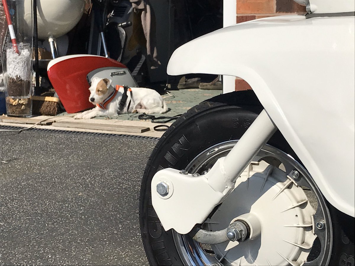 A little helper whilst I do some self-isolation ‘scoot-faffing’. #patchspeedscooters