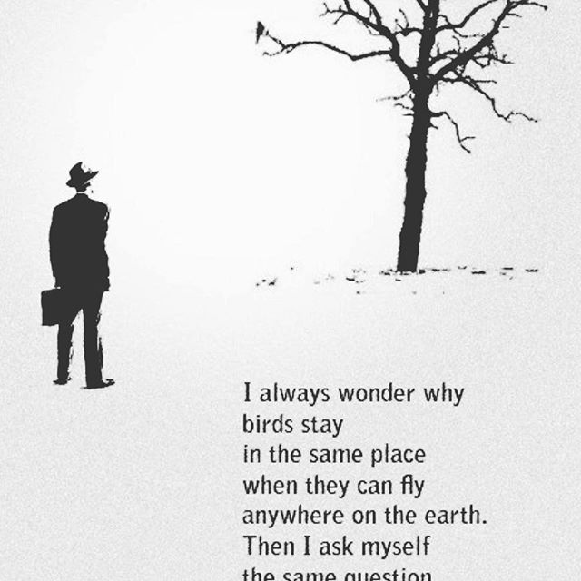 DigglerQuotes's tweet photo. #success #digglerquotes #digglerquotes #dream #fly https://t.co/QMgjiBdERg