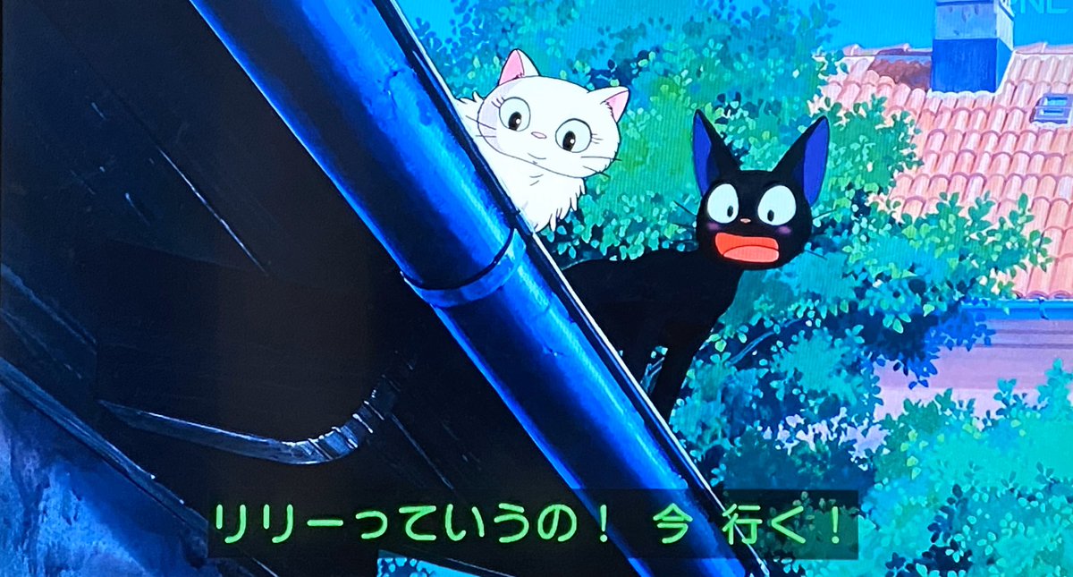 Heikayuuji これがキキがジジと交わした最後の 会話 なんですよね 実はここまでのジジ との会話も まだ子どもだったキキが ジジと会話出来てると思い込んでいた だけだと どこかで聞いた時に 背中がゾクゾクきたんですよ 魔女宅 魔女の 宅急便