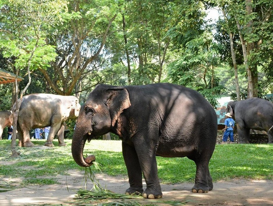 Gratitude DNA tweet media