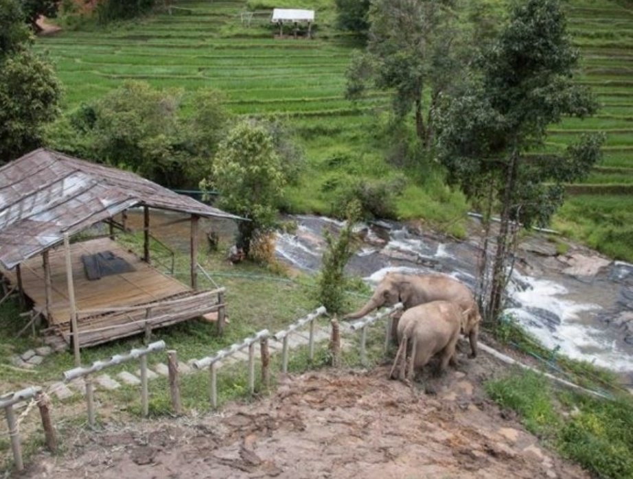 Gratitude DNA tweet media