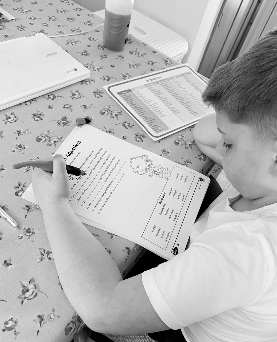 HStaciea's tweet photo. @LoosePrimary Harry’s busy with his work! https://t.co/oX8pdy8hW5