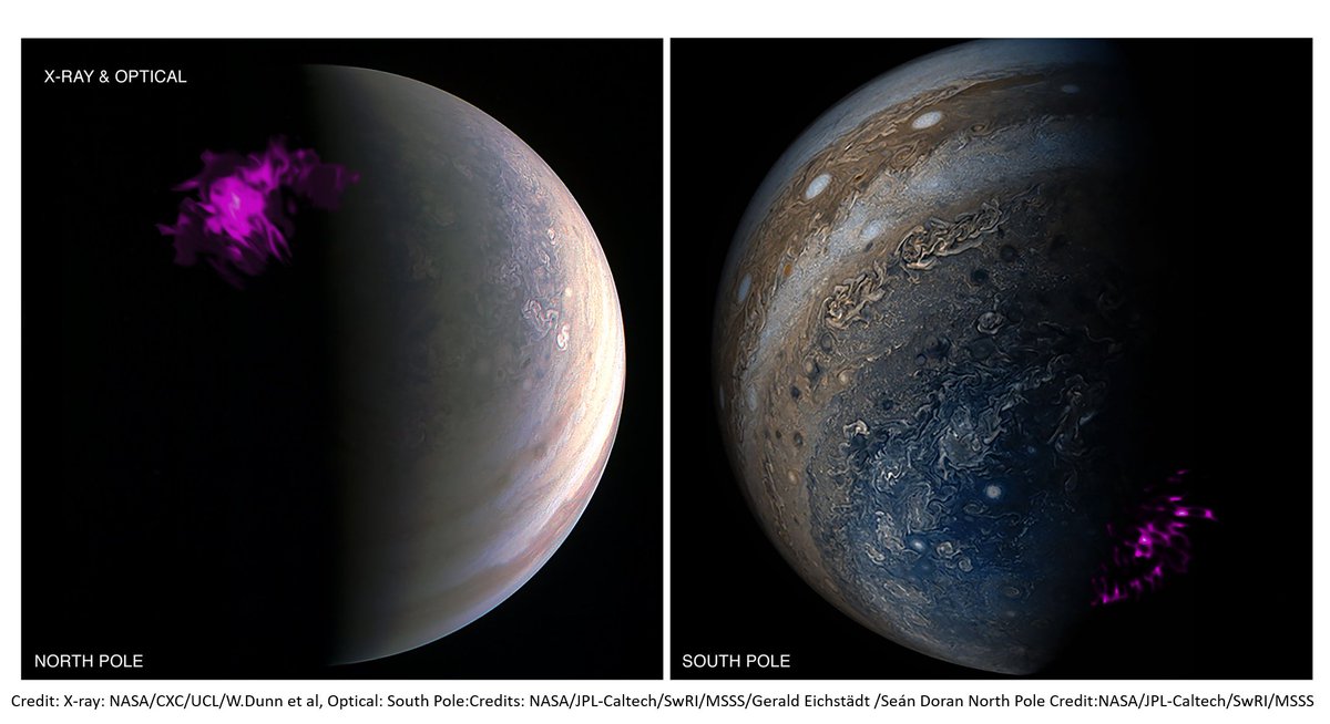 Dr Affelia Wibisono tweet media