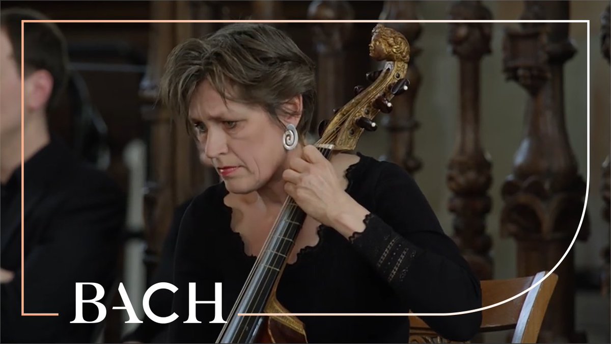 Mieneke van der Velden (viola da gamba) over het openingskoor van de Matthäus: "Zo ingenieus: de strijkers met lange lijnen, de ‘hartslag’ in het continuo, twee koren die elkaar toezingen en dan ineens het koraal met @kampenboyschoir - ongelofelijk!" youtu.be/RnkSFKJ4rC0