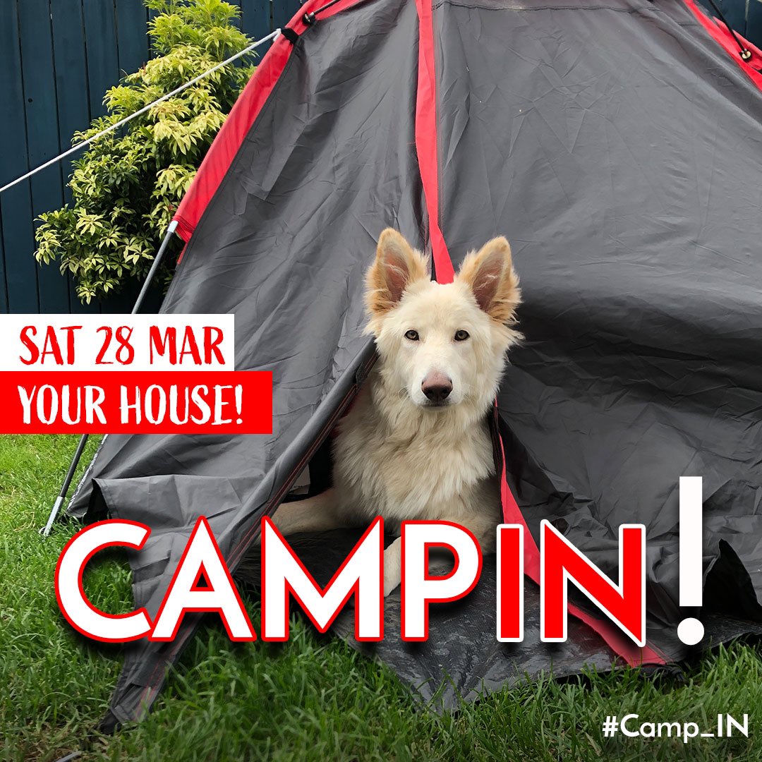 NI EXPLORER tweet media