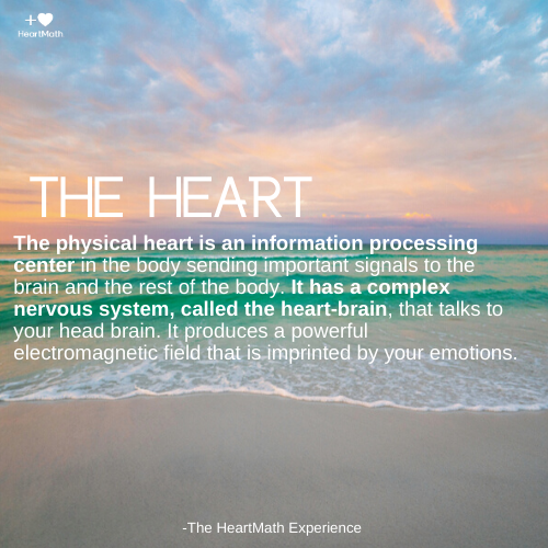 HeartMath's tweet photo. The Heart is an information processing center in the body sending important signals to the brain and the rest of the body. #science #addheart #intelligence #discovery https://t.co/39nAYT8MFj