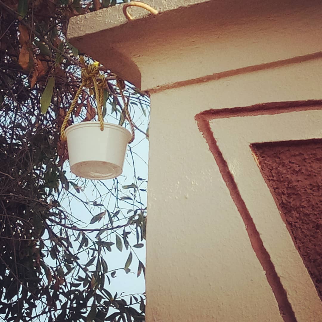 Ibbuofficial's tweet photo. Feeling happy that today I made a Bird water feeder during #21daysoflockdown Do anything, You want to do for a great cause during these Lock down days
#StayHomeStaySafe #coronavirus https://t.co/5PWklJefu9