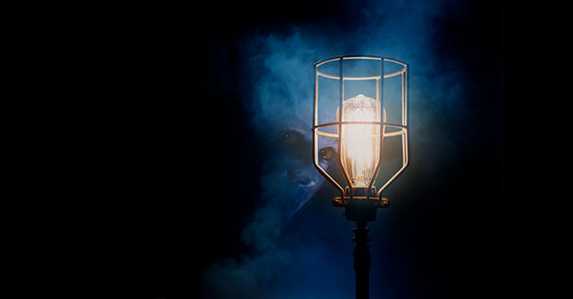 CanadasNAC's tweet photo. As is tradition when the spotlight goes out, artisans keep a small light on, a sentry, to watch over the stage until the artists and audiences return. 2/3 https://t.co/yTOfZLnEgS