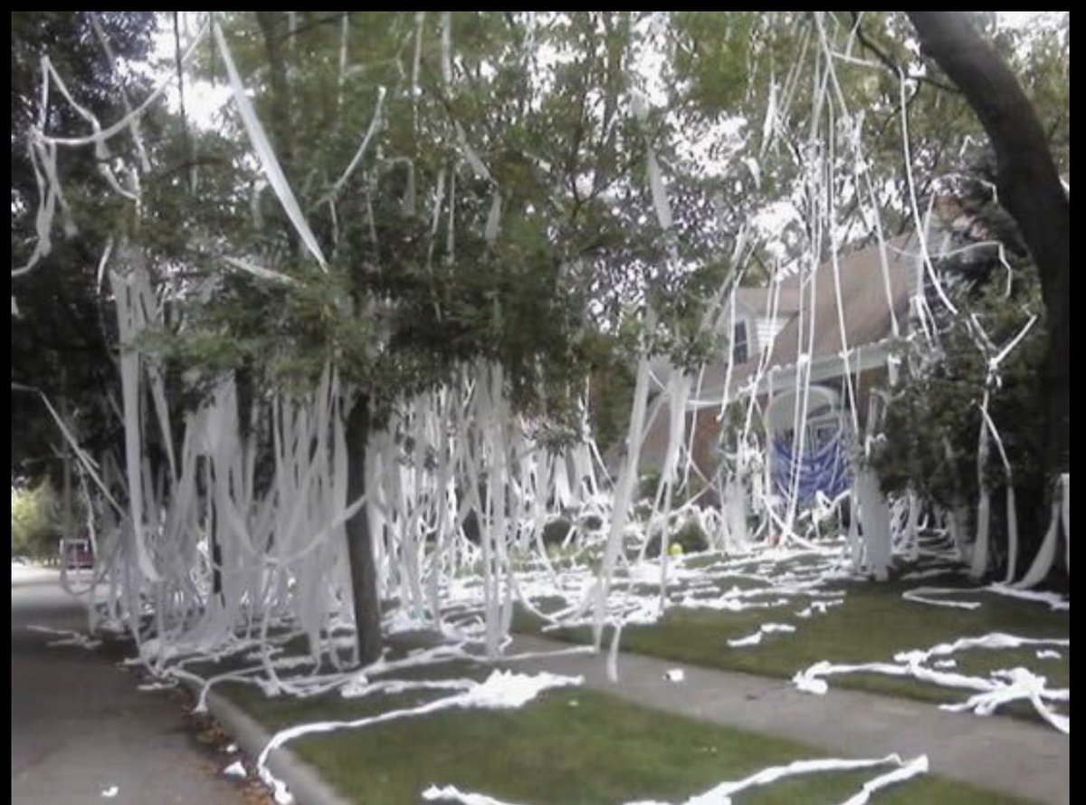 80sThen80sNow's tweet photo. Toilet Papering Someone’s House.
1980: 😂😂😂😂😂
2020: 😳😳😳😳😳
#ToiletPaper #TPing #TP #Prank #Fun #Waste https://t.co/uznF4r3ruE