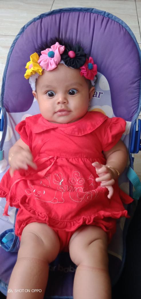 endanggwidyaa's tweet photo. akunya baby yg sangat lucu 💛🌻 https://t.co/T08FhVEgrn
