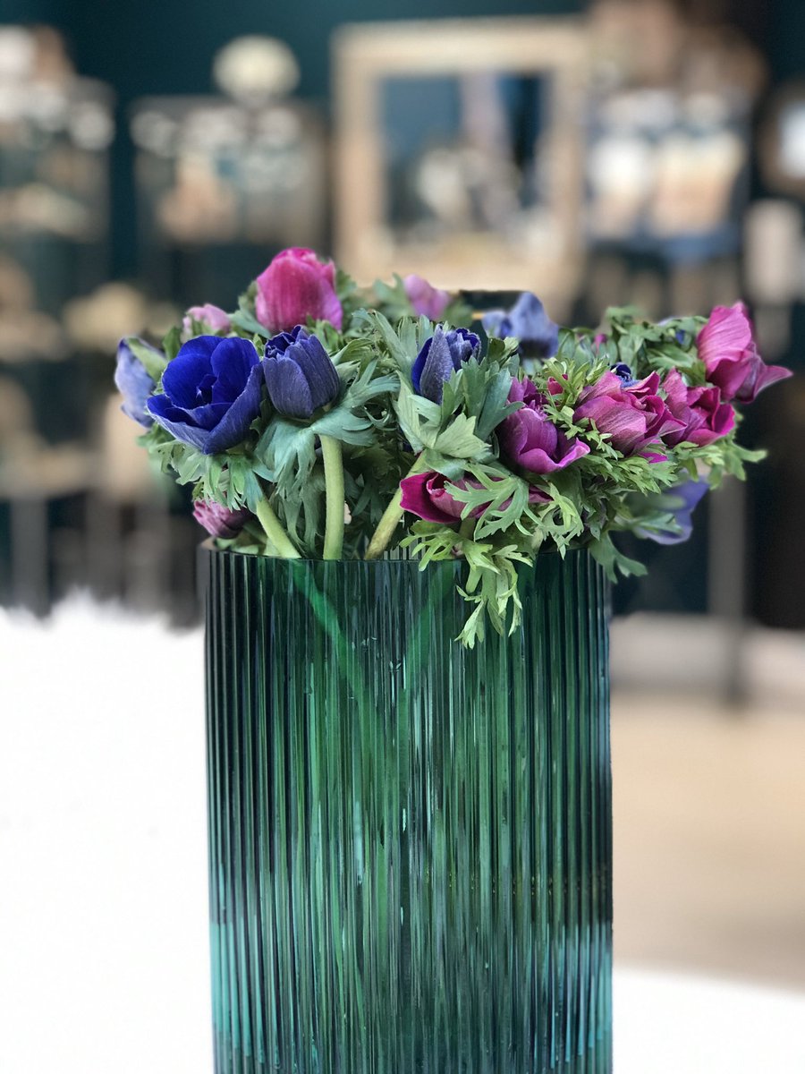 anaverdunlondon's tweet photo. This beautiful spring day reminds me of when a lovely client recently brought flowers to show her appreciation when collecting some pieces. ⠀
Thank you so much Jean! G and I loved them 💜💙💚 ⠀
#anemones #SpringFlowers https://t.co/GCItCjNdEZ