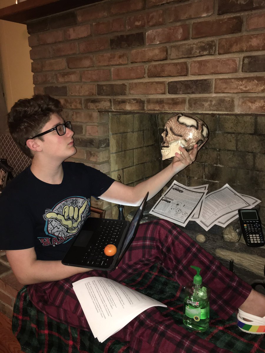 TriggMiddle's tweet photo. Here is another selfie sent to Mrs. Knight titled “To Work or Not to Work” by 8th grade student Simon Poe. He threw in a little flex by putting in his big bottle of Germ-X during this quarantine time. #MyNTIKy #TriggSchools @TriggSchools @TriggMiddle https://t.co/rLfeRZvqtB