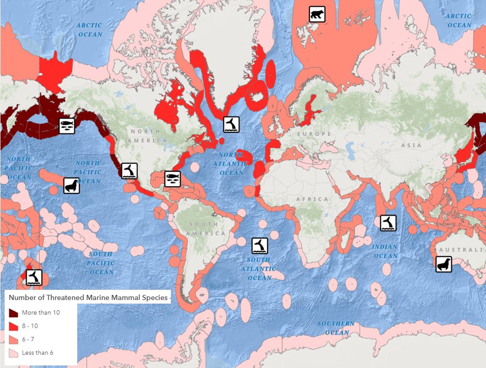 geographylucy's tweet photo. Huge shout out to @geogologue @GIS4Schools and @RGS_IBG for organising and hosting an amazing webinar on using ArcGIS! #RGSScholar #geographyteacher #PGCE
Even made a map showing threatened marine mammals: https://t.co/Yavy03ZLI9