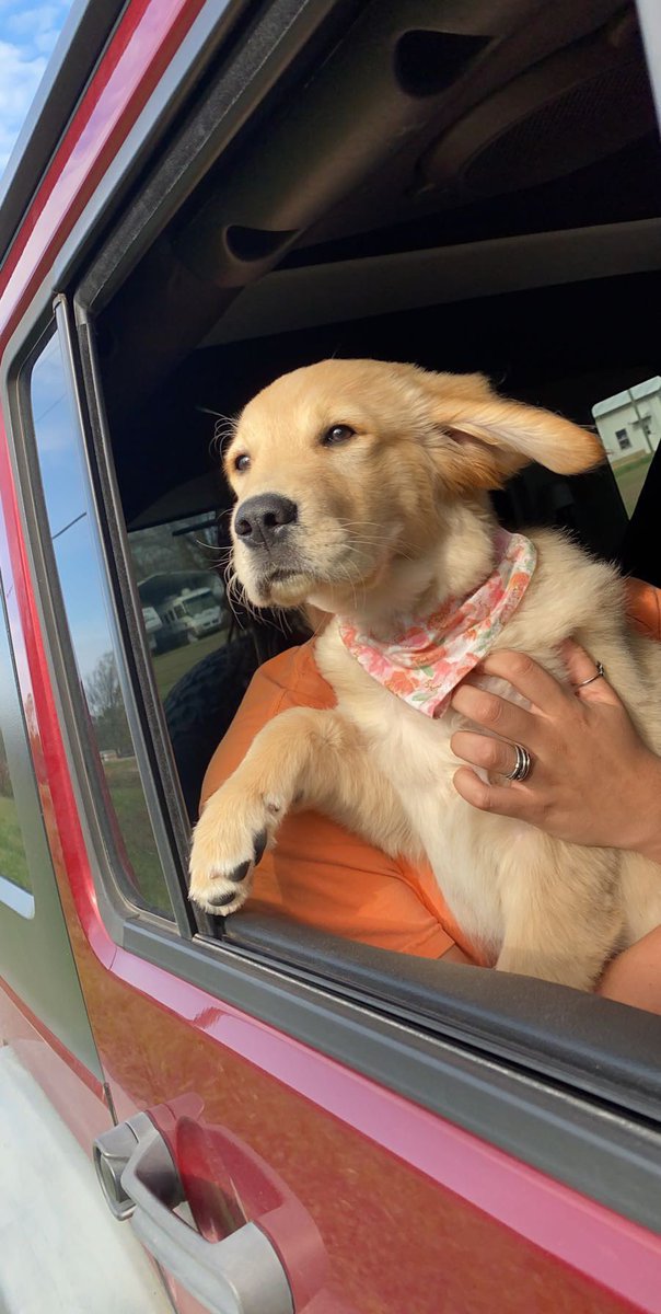 BakerTheGolden1's tweet photo. I lub car widez with my auntie @gyestrada13 . #vroomvroom https://t.co/HHlCGVkTRg