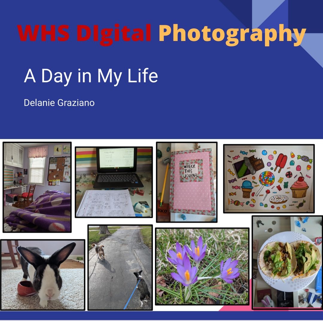 finearts201's tweet photo. Digital Photography Exploring A Day in the Life! #digitalphotography https://t.co/qGjPO4s5of