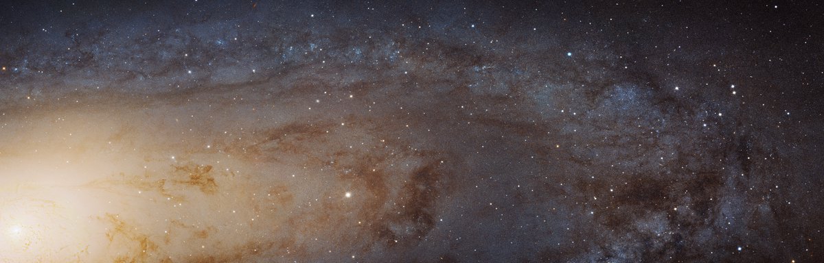 I mean, if you're going to look at the Andromeda galaxy (M31), don't fool around with the wide field views. Really get in there.Image: NASA; ESA; J. Dalcanton ( @dalcantonJD) , B. F. Williams, and L. C. Johnson (University of Washington, USA), the PHAT team, and R. Gendler.