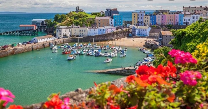 Do you know Pembrokeshire? Do you have experience of selling to farms? Do you speak Welsh? Get in touch justin@jcagrisolutions.com 
#stillworking #CoronaLockdown #lifegoeson #teamdairy #dairy #FarmLife #agriculture #staysafe