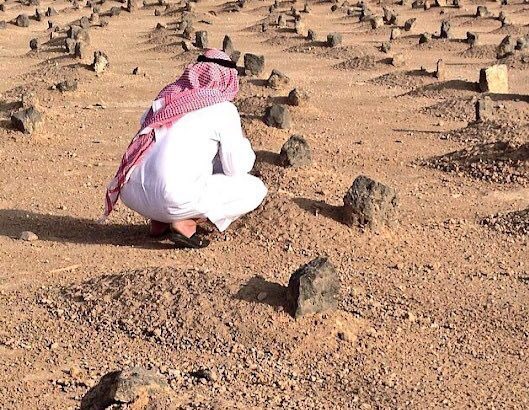 هارولد فينش tweet media