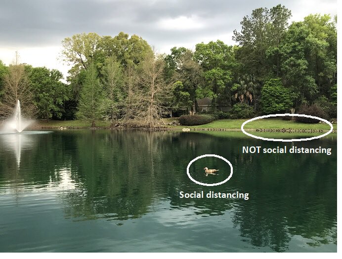 Professor Mom tweet media