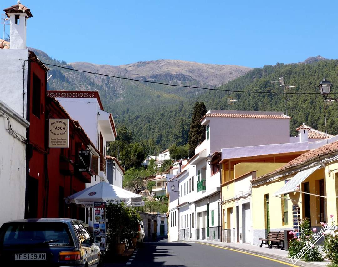 TenerifeBonjour tweet media