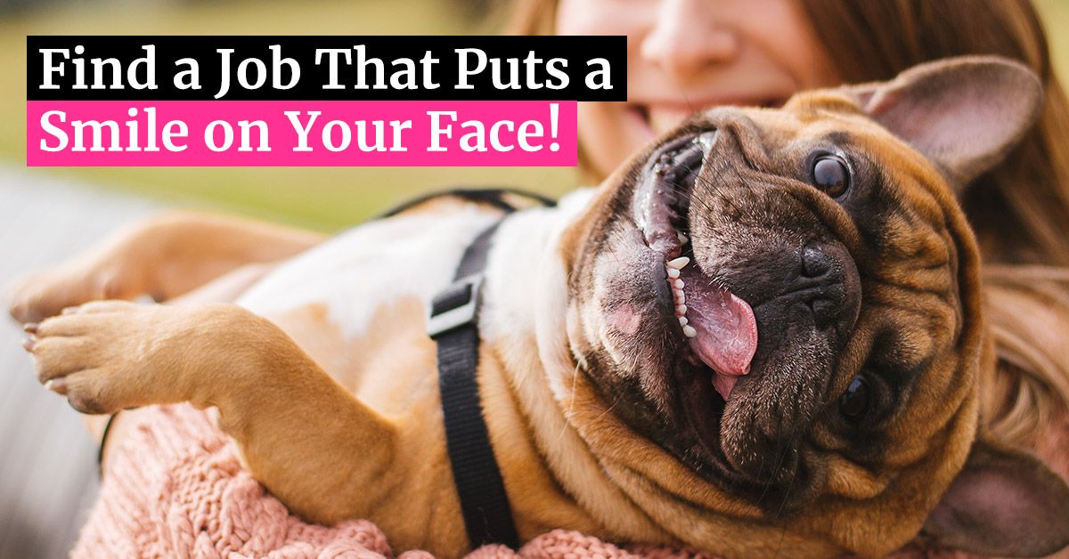 Accurate_USA's tweet photo. Long week? 😓 

It's time to find a job that puts a smile on your face! 

Get started when you check out Accurate Personnel's opportunities today: https://t.co/gF4Tn9ml8q https://t.co/YptOoQ0qsz