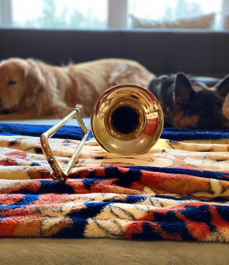 BRMSbands's tweet photo. Happy Friday from the instruments in the BRMS music department. We had fun sharing our silly photos with you this week! @BRRSDPerfArts #bandkidsareawesome #BRingonthedistancelearning https://t.co/PAzyNZS5Ht
