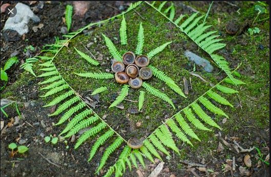 IndigoClass's tweet photo. Hi Y2, Here’s a fun Friday challenge for you all. Can you create a piece of art inspired by an artist called Andy Goldsworthy? Use natural materials from in your garden or items in your home. Here are some examples...Please tweet us back your work so we can see it 😊 We miss you! https://t.co/qeZEvRSmdv