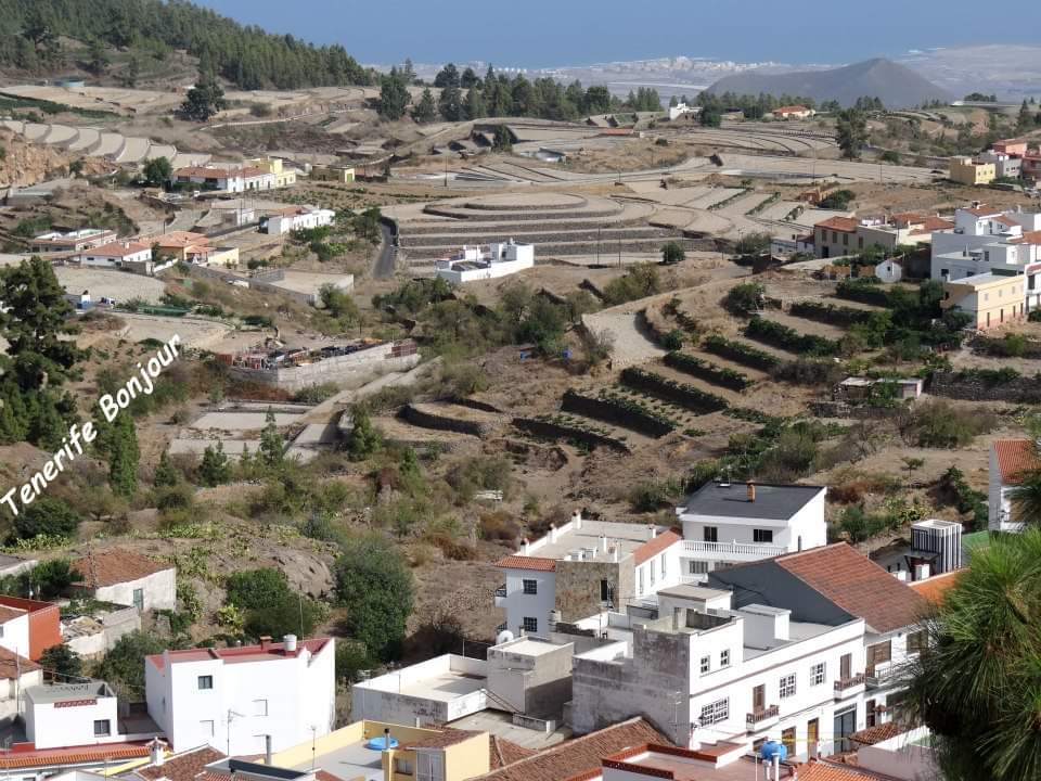 TenerifeBonjour tweet media