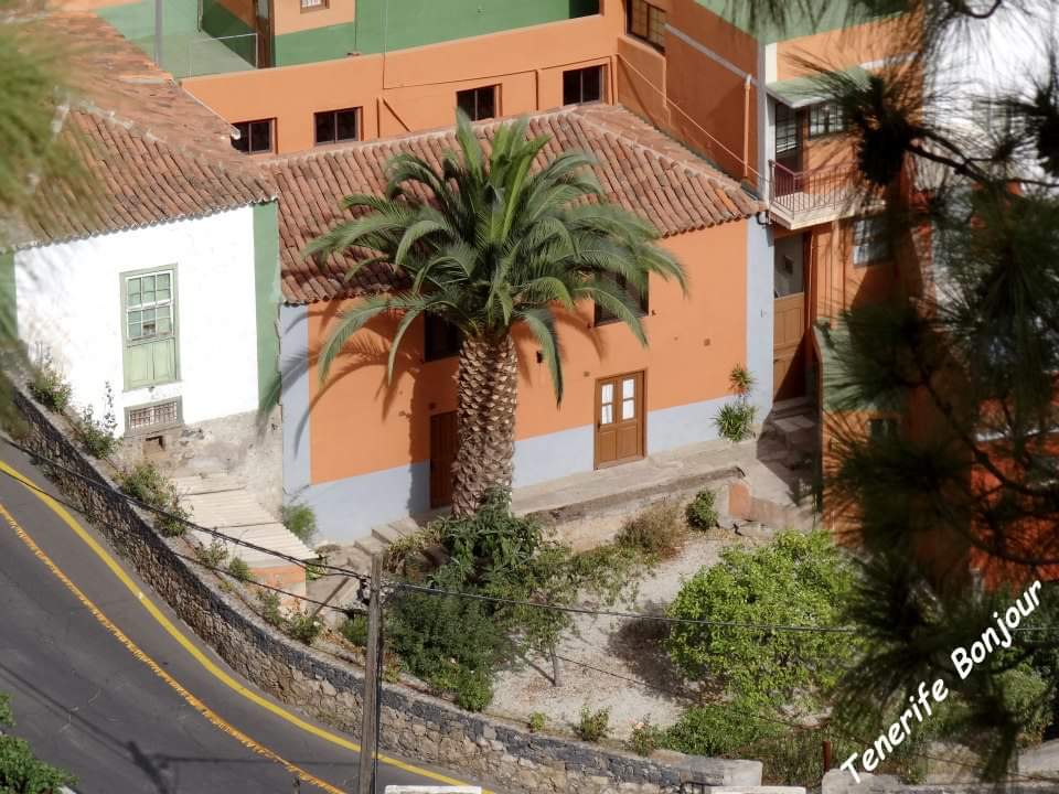 TenerifeBonjour tweet media