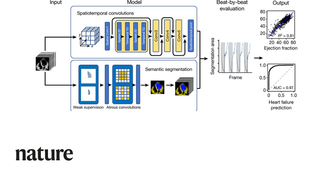 A Nature paper describes a deep learning algorithm that could potentially improve real time diagnosis of cardiac disease. go.nature.com/2xqYWQh
