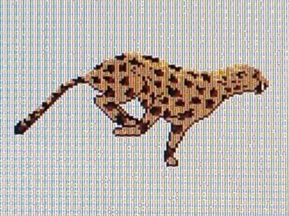 eldon90's tweet photo. For all my old school @mlbam and @MiLB friends - remember this little guy?! #cheetah #HeWasntVeryFast #MiLB #MLBAM #MLB #quarantinefind https://t.co/eFrX5QIG1p