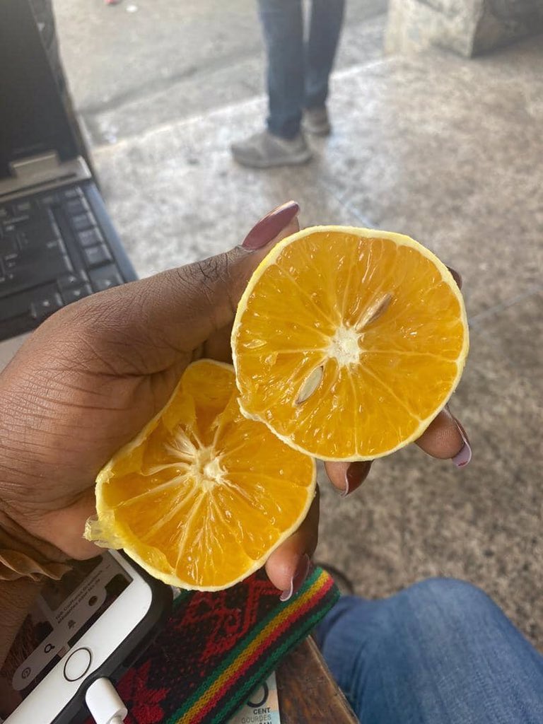 vingoute's tweet photo. Èske w pran ti vitamin C w maten an? 
Daprè kèk dokiman nou konsilte: 
📍Zoranj jwe yon wòl enpòtan nan kò w, li pèmèt ou goumen kont agresyon viral ak mikwòb. Li gen anpil kalsyòm. 
📍Kachiman bay san, li bon pou kè, li ba w fòs. 
#VinGoute https://t.co/fKAxwbk8A0